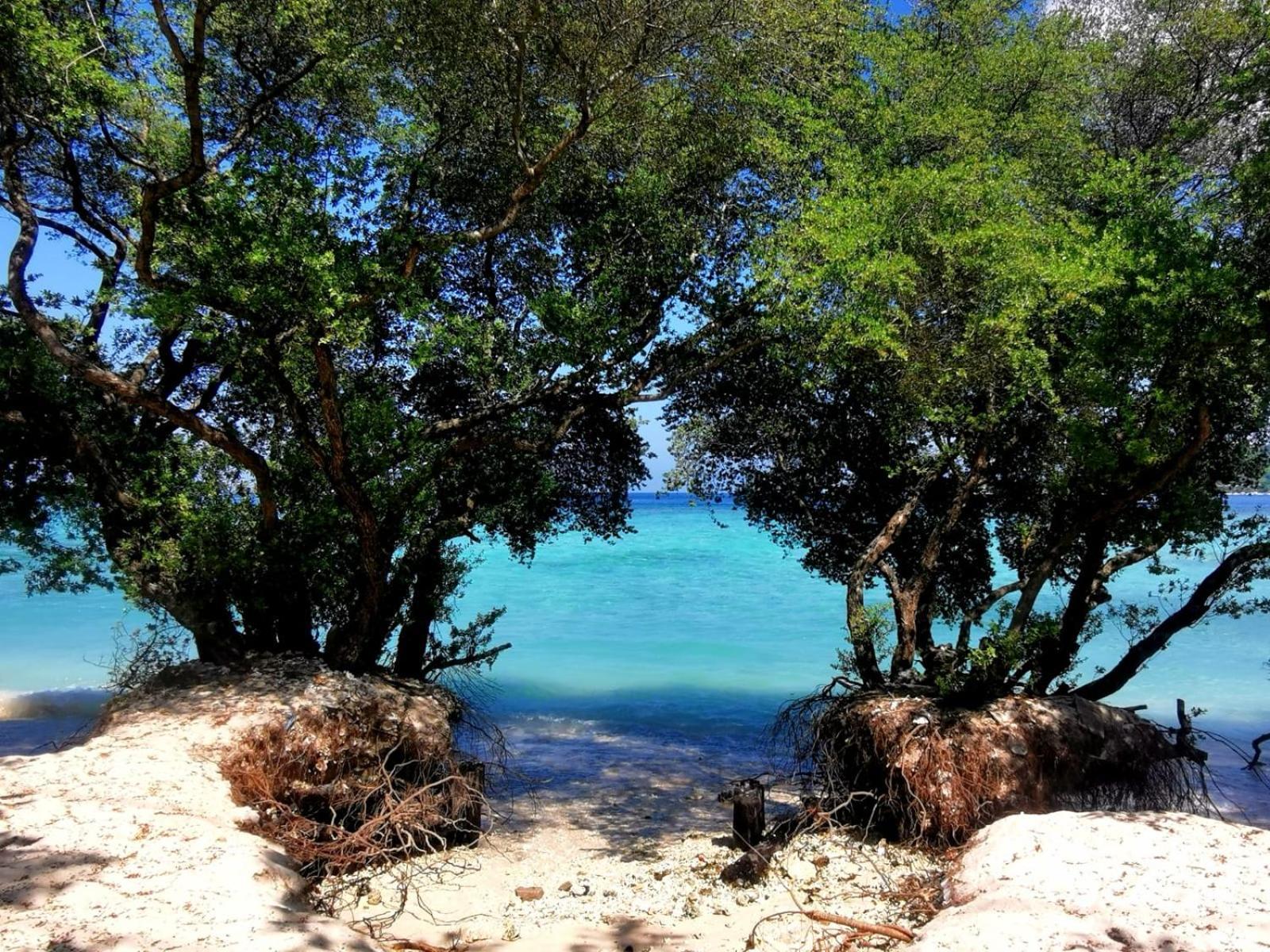 Exotic House Villa Gili Meno Bagian luar foto