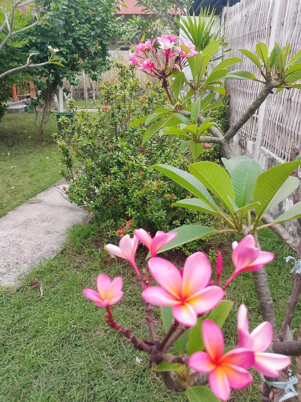 Exotic House Villa Gili Meno Ruang foto